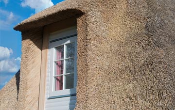 Cookbury Wick thatch roof disadvantages